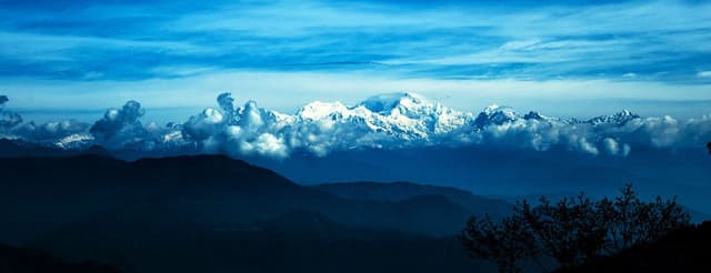 Sterling Darjeeling