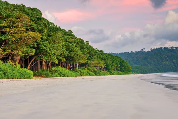 Top 10 Must-Visit Attractions in Andaman and Nicobar Islands