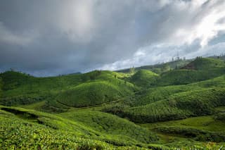 Monsoon Magic in Kerala: Experiencing the Rainy Splendor