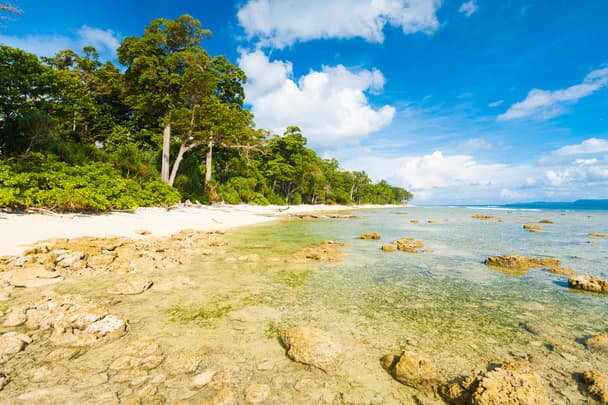 Andaman Dreamscape Standard Package